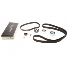 Комплект ГРМ VW Passat/Audi A4/A6/A8 2.5TDI 97-06 (30x207z/24x87z)