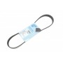 Ремінь генератора Citroen Berlingo/Peugeot Partner 1.6HDI/ Ford Fiesta/ Focus 1.4-1.6 TDCi 01-