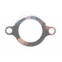 Опора кульова (передня/знизу) Ford Transit V362/V363 12-