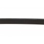 Ремінь генератора Citroen Berlingo/Fiat Ducato/Peugeot Boxer/Expert 1.9 D/TD 96-03 (6PK730)
