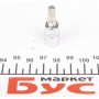 Біта Torx T30 + адаптер під ключ 1/4