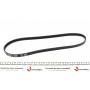 Ремінь генератора Fiat Fiorino/Nissan Primera 1.6 90-03 (4PK913)