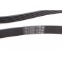 Ремінь генератора MB S-class (W221/W222)/E-class (W212) 4.7-5.5 11-17/Porsche Macan 3.0-3.6 14-