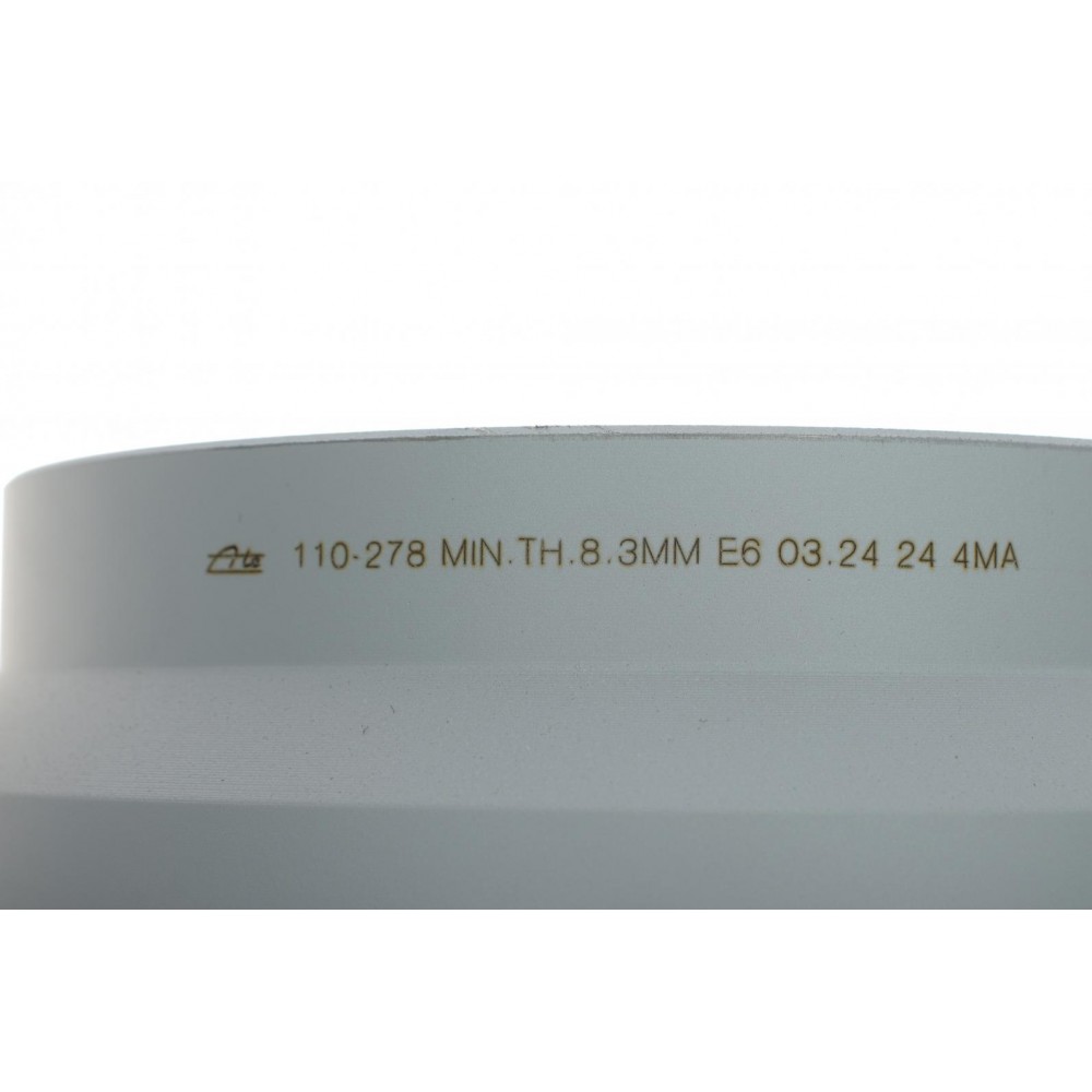 Диск гальмівний (задній) MB E-class (W211/W212/S211/S212) 02- (300x10 (з покриттям) (повний)
