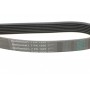Ремінь генератора Renault Master 3.0dCi/Opel Movano 3.0dTi 03-/Toyota Rav4 2.0 06-13/Avensis 01-09