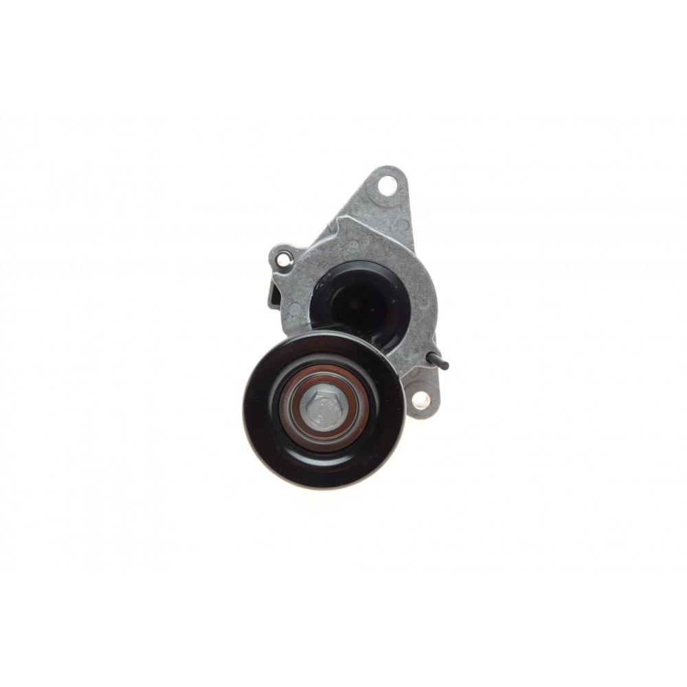 Натяжник ременя генератора Nissan Navara/Pathfinder 2.5 dCi 05-