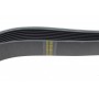 Ремінь генератора Land Rover Range Rover 3.6D 06-12/Range Rover Sport 2.7D 05-13 (8PK2510)