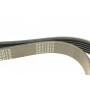 Ремінь генератора Citroen Jumpy/Fiat Scudo/Peugeot Expert 2.0MJTD/HDi 07- (+AC) (6PK1217)