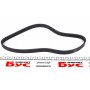 Ремінь генератора Fiat Ducato 2.5/2.8 JTD 97-02 (6PK946)