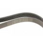 Ремінь генератора MB W124/W126/W201/W202 3.0 -96/VW LT 2.5TDI (6PK2172)