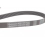 Комплект ременя генератора Hyundai Elantra III/Santa Fe I-II/Sonata V 2.0D/2.2D 01-