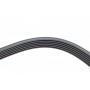Ремінь генератора Renault Megane I/Ford Transit 2.0 94-00 (6PK1650)
