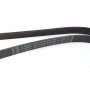 Ремінь генератора Opel Vectra 2.0/2.2 DTI 96-/ Nissan X-Trail/ Renault Koleos 2.5 07- (6PK1805)
