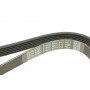 Ремінь генератора Fiat Doblo 1.3D Multijet/1.3JTD/Ford Focus 1.8/2.0 04-