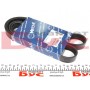 Ремінь генератора Fiat Ducato 2.2D/Ford Transit 2.2TDCI 06- (+AC) (6PK1670)