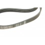 Ремінь генератора Renault 11/9/BMW 7 (E32)/8 (E31)/Mazda 323/626/Citroen XM 83-04 (5PK1165)