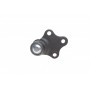 Опора кульова (передня/знизу) Citroen Berlingo/Peugeot Partner 96- (d=16mm) (без гу)