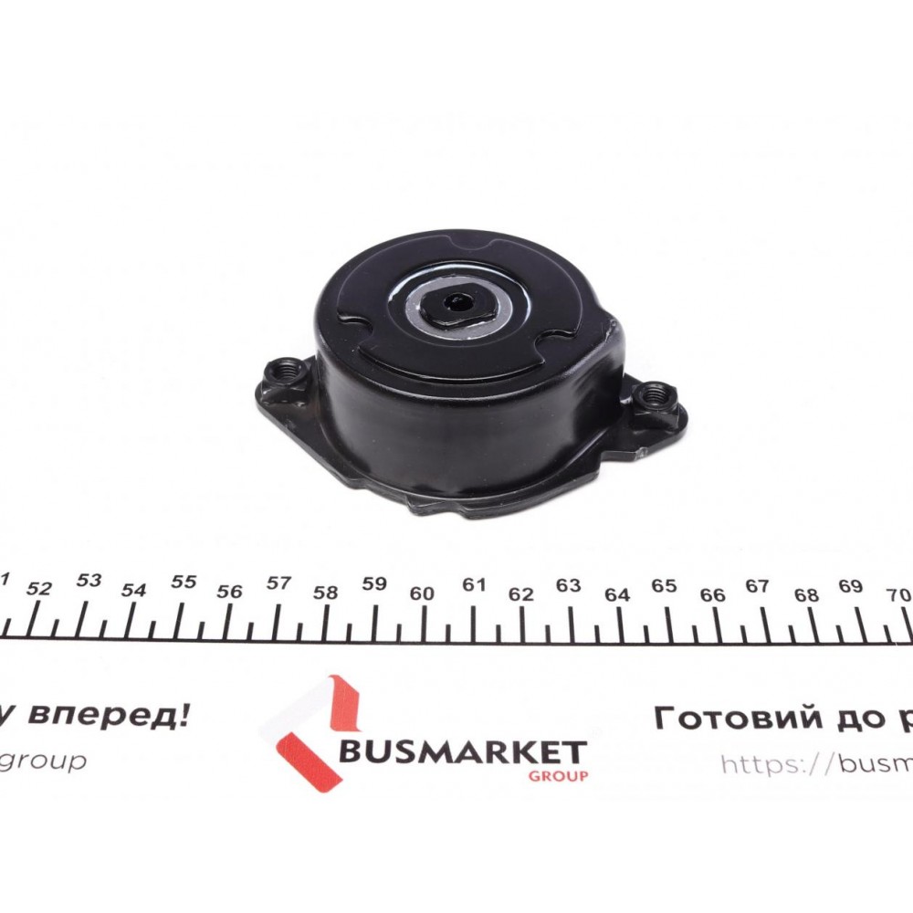 Натяжник ременя генератора BMW 3 (E46) 01-05, M47 D20 (204D4)