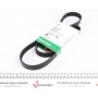 Ремінь генератора Fiat Doblo 1.3D Multijet/1.3JTD/Ford Focus 1.8/2.0 04-