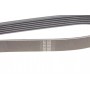 Ремінь генератора Citroen Berlingo/Peugeot Partner 1.6HDi 09- (6PK1020)(замінено 1020 К 6)