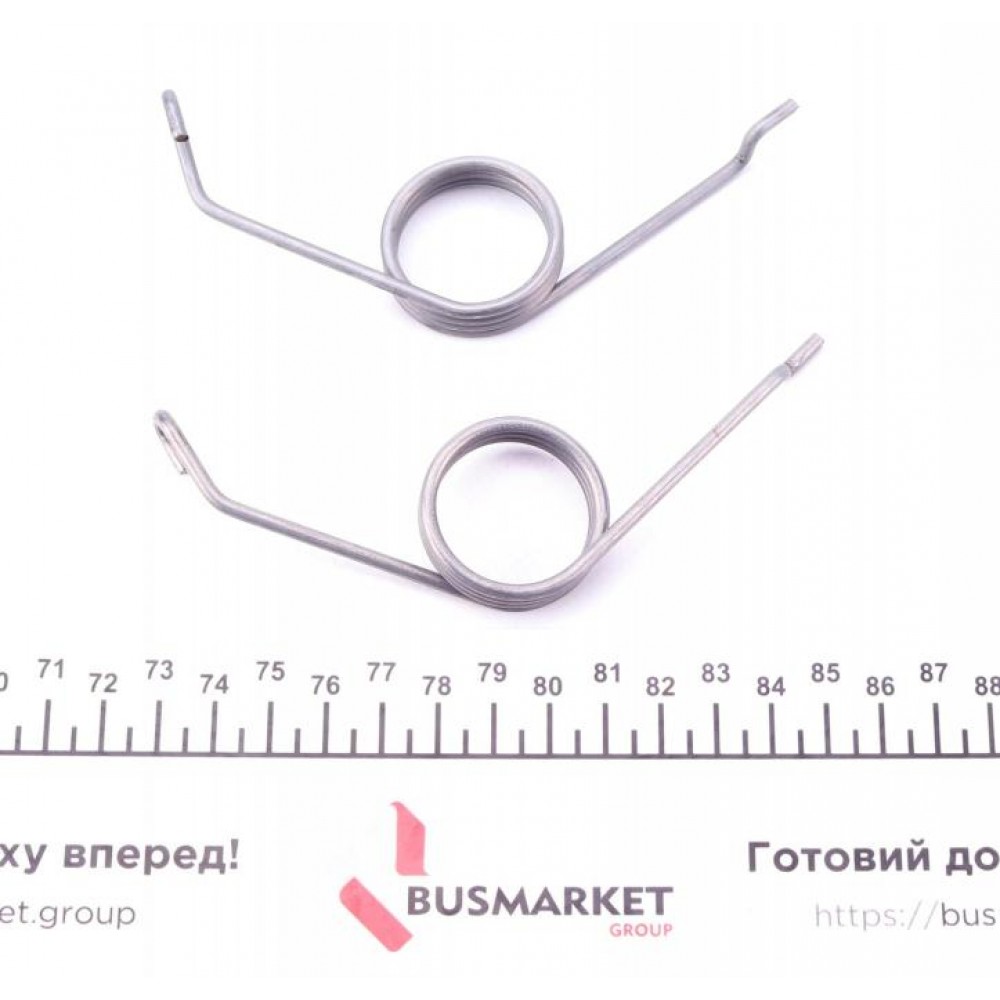 Пружини супорта (заднього) Audi A4/A6/VW Golf VI 94-13 (К-кт L+R)