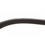 Комплект ременя генератора VW T5 1.9 TDI 03-09 (6DPK1195)