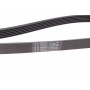 Ремінь генератора VW T5/T6 2.0TSI 11-
