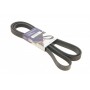 Ремінь генератора MB W202/210 M112/113 97- (WP,PS) (6PK2315)