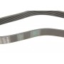 Ремінь генератора Porsche Cayenne 10-/Audi Q7 06-15/VW Touareg 3.0 TDI 04-18 (6PK2475)