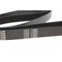 Ремінь генератора VW LT 2.5TDI 96-01/Peugeot Expert 1.9D/2.0HDI 98- (6PK1750)