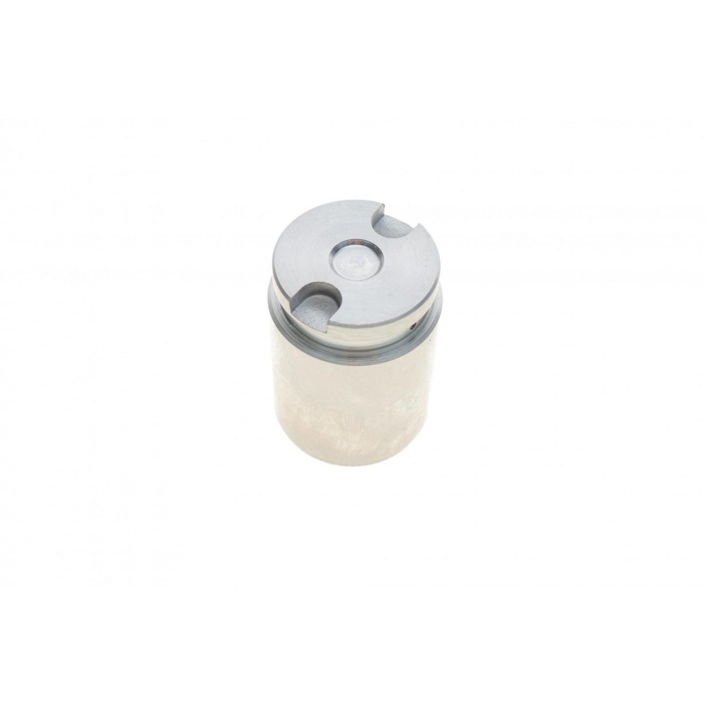 Поршень супорта (заднього) Mazda 6 02-08/Renault Megane 3 08- (34x48mm) (Tokic/TRW)(з механізмом)