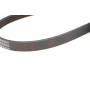 Ремінь генератора Honda Civic VI/ Nissan Primera 1.4-1.6 94-01/ Lexus GS 3.5 12-/ Toyota IQ 1.3 09-