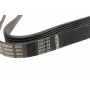 Ремінь генератора Peugeot Expert/Citroen Jumpy 2.0HDi 07-/Ford Focus/Kuga 2.0TDCi 04-12 (6PK1215)