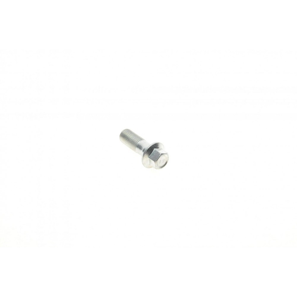 Болт Banjo (банжо) M10x1mm (11x37)