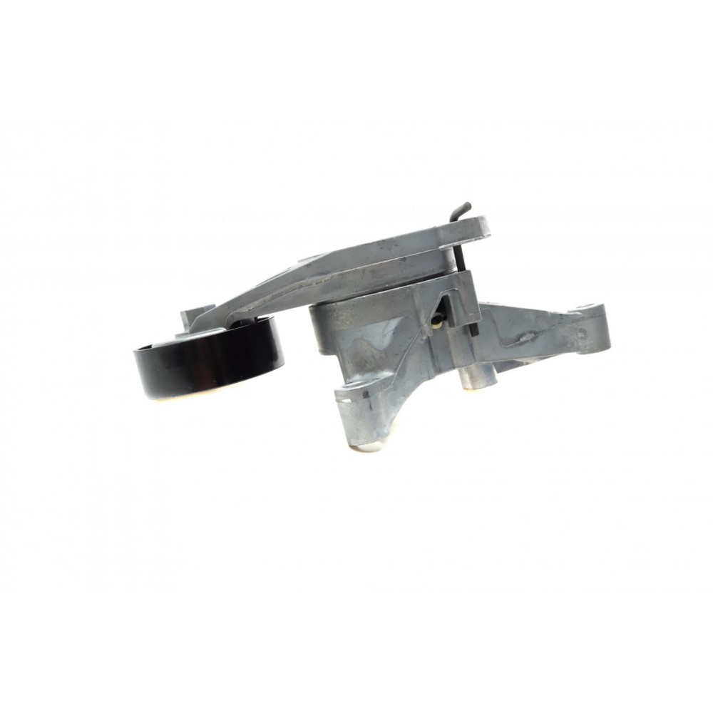 Натяжник ременя генератора VW 1.9/2.0TDI 04-10 (70x24)