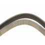Ремінь генератора Jeep Cherokee/Liberty 2.5/2.8 CRD 01- (6PK2870)