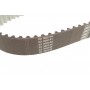 Комплект ГРМ Audi A3/A4/A6/Skoda Octavia/VW Golf V/Passat/Touran 2.0TDI 03- (30x141z)