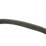 Ремінь генератора Citroen Jumpy /Fiat Scudo/Peugeot Expert 2.0 i/ Renault Kangoo 1.9D 97- (6PK1190)