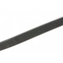 Ремінь генератора Citroen Jumper/Peugeot Boxer 2.0/2.2HDi 04- (-AC)/Opel Movano 2.5D (6PK875)