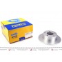 Диск гальмівний (задній) Audi 100 90-94/A6/Skoda Superb/VW Passat 96-08 (245x10) (з покр.) (повний)