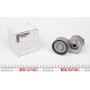 Натяжник ременя генератора Renault Scenic/Megane II/III 1.9dCi/2.0 16V 03-