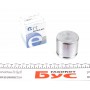 Поршень супорта (переднього) VW Passat 08-14 (60x55mm) (TRW)