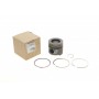 Поршень Renault Kangoo/Megane/Scenic 1.5dCi 09-