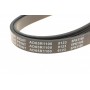 Ремінь генератора Citroen Jumper 2.8HDI 00-/Honda Accord 1.9-2.0 93-98/ Toyota Carina 2.0 96-97