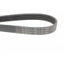 Ремінь генератора MB OM606 -99 (PS)