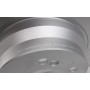 Диск гальмівний (задній) MB E-class (W211/W212/S211/S212) 02-09 (300x10) PRO+