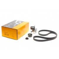 Комплект ременя генератора Renault Grand II-III/Laguna/Megane 2.0dCi 06-