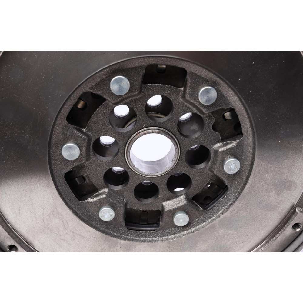 Демпфер зчеплення Opel Corsa 1.7 CDTI 06-/Astra H 1.7CDTI 07-