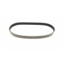 Ремінь генератора Citroen Berlingo/Fiat Ducato/Peugeot Boxer/Expert 1.9 D/TD 96-03 (6PK730)