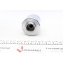 Ремкомплект супорта (заднього) Iveco Daily 06-14 (d=60mm) (+поршень) (Brembo)